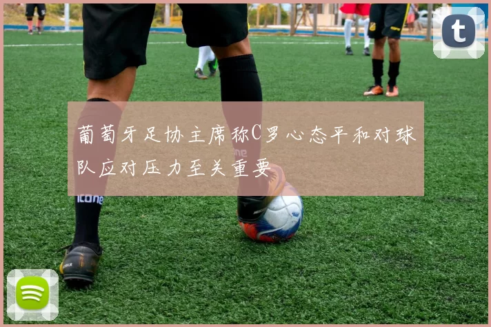 葡萄牙足协主席称C罗心态平和对球队应对压力至关重要